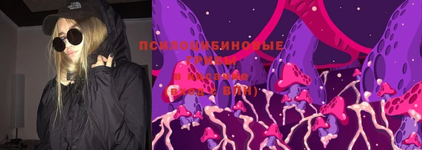 mdpv Арсеньев