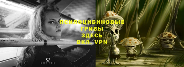 mdpv Арсеньев