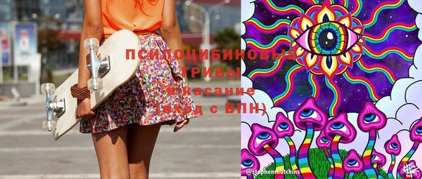 мдпв Армянск