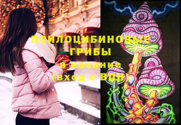 мдпв Армянск